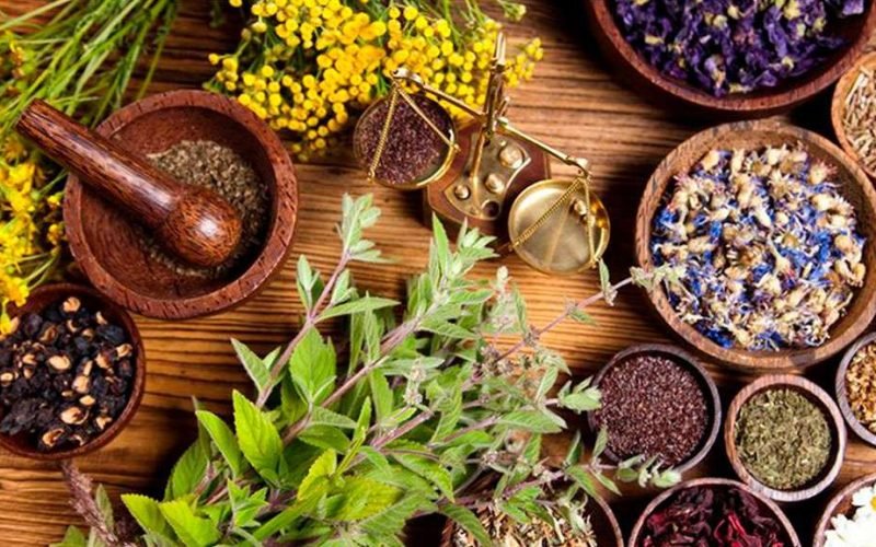 medicinal herbs